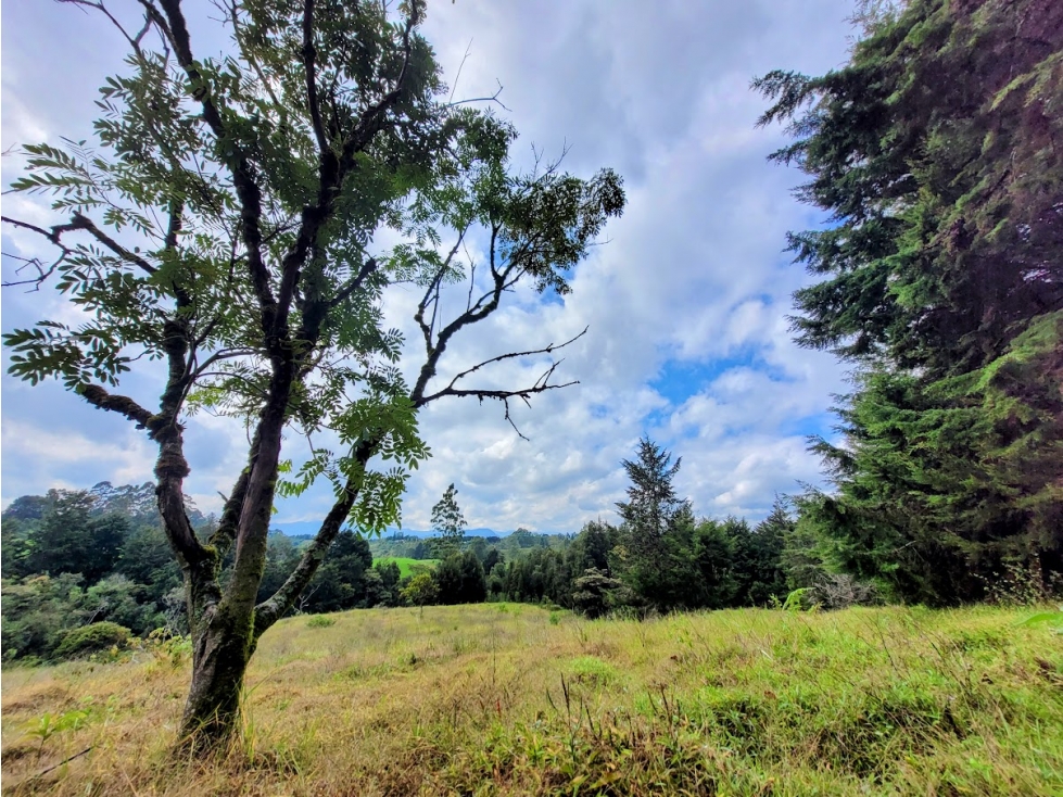 LOTE DE 60.000 METROS EN RIONEGRO DE CLASE MUNDIAL — foto 6