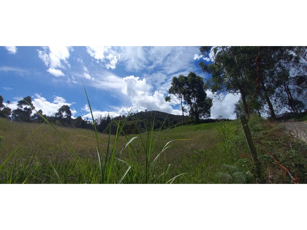 LOTE DE 9.600 METROS EN GUARNE CHAPARRAL CON CASA CAMPESINA — foto 4