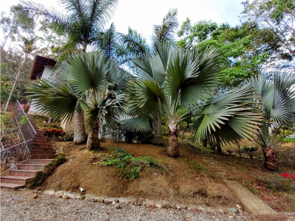 Finca en Girardota con 5.200 m², casa de 2 niveles y vía pavimentada — foto 6