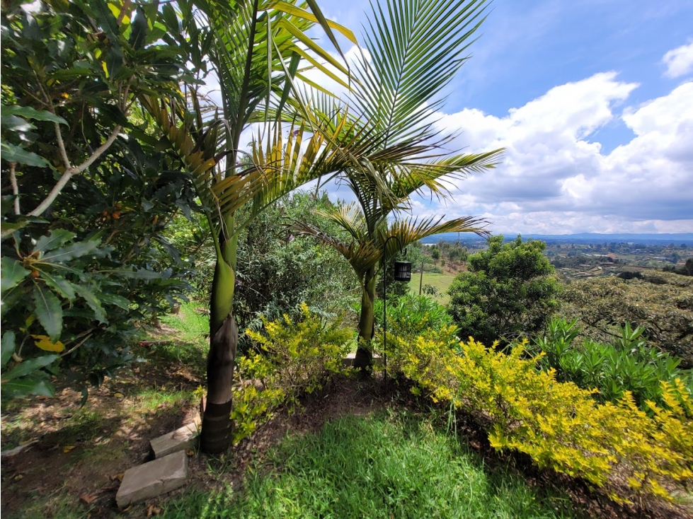EN VENTA FINCA EN GUARNE VEREDA SAN JOSE PARA VOLVER A LA NATURALEZA — foto 2