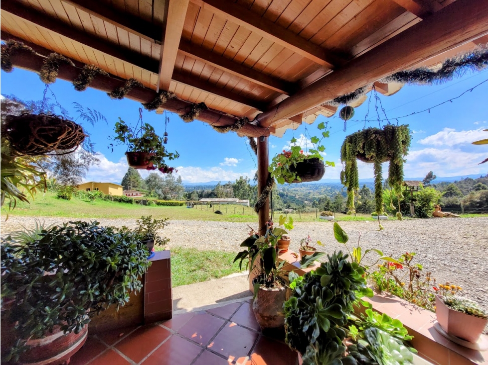 FINCA EN GUARNE CON POTENCIAL ILIMITADO — foto 3