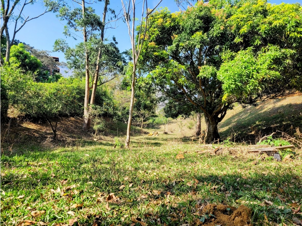 LOTES INDEPENDIENTES DESDE 2600 METROS VEREDA EL TOTUMO GIRARDOTA — foto 5