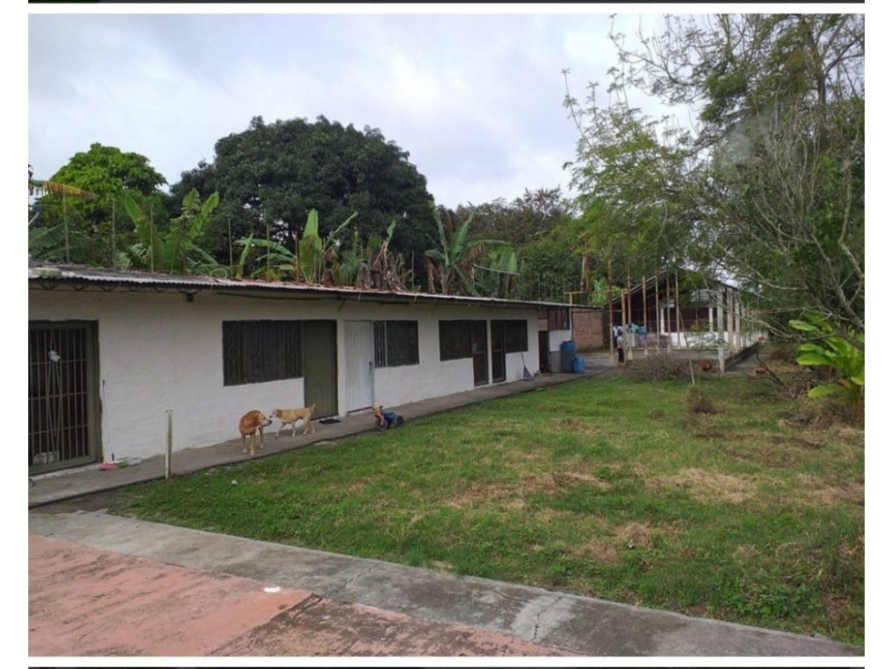FINCA EN EL BOLO PALMIRA, OPORTUNIDAD DE INVERSION EN VENTA - 1
