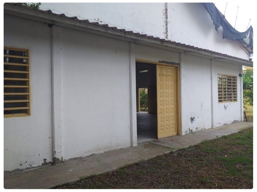 FINCA EN EL BOLO PALMIRA, OPORTUNIDAD DE INVERSION EN VENTA - 4