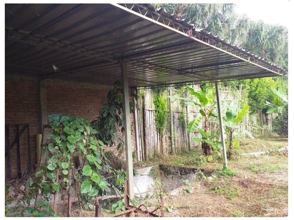 FINCA EN EL BOLO PALMIRA, OPORTUNIDAD DE INVERSION EN VENTA - 2