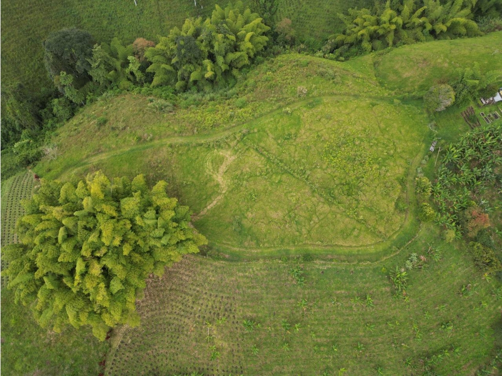 Lote en Venta en Alcalá - Valle del Cauca - 3