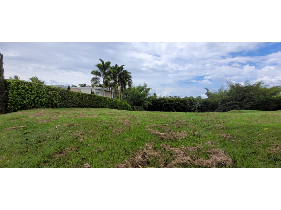 Lote en Venta en Pereira - Cerritos