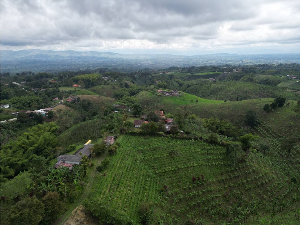 Lote en Venta en Alcalá - Valle del Cauca - 3