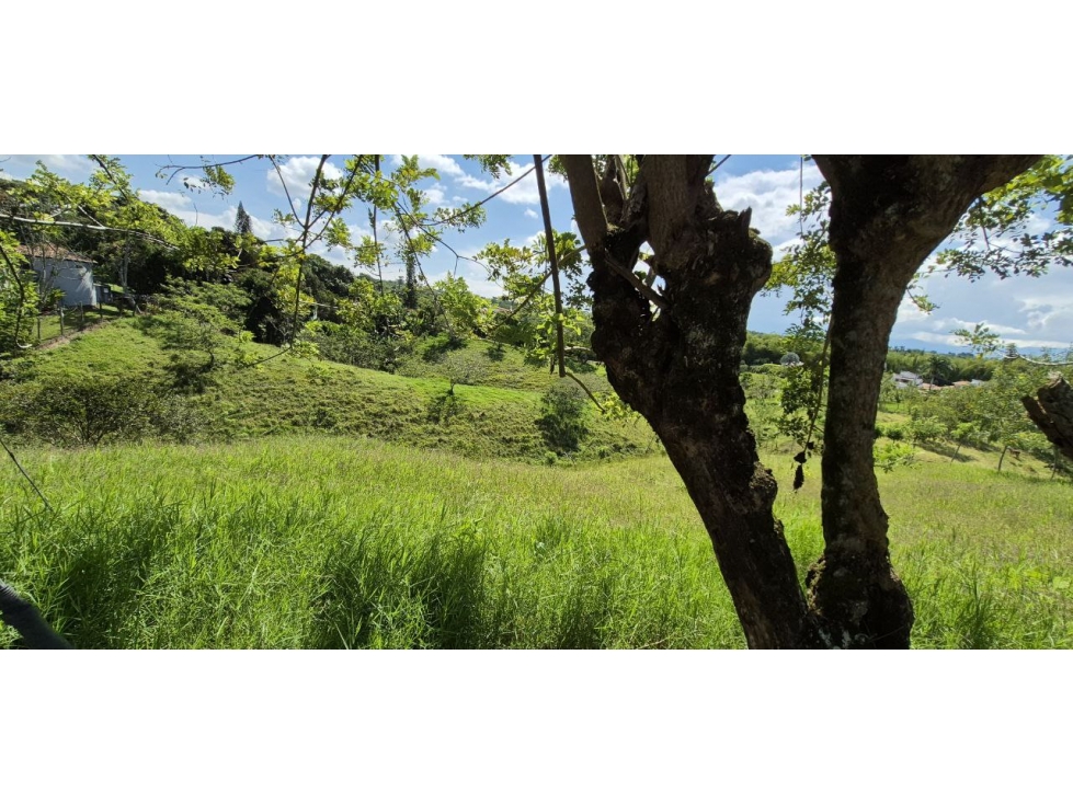 Lote en Venta en Pereira - Cerritos