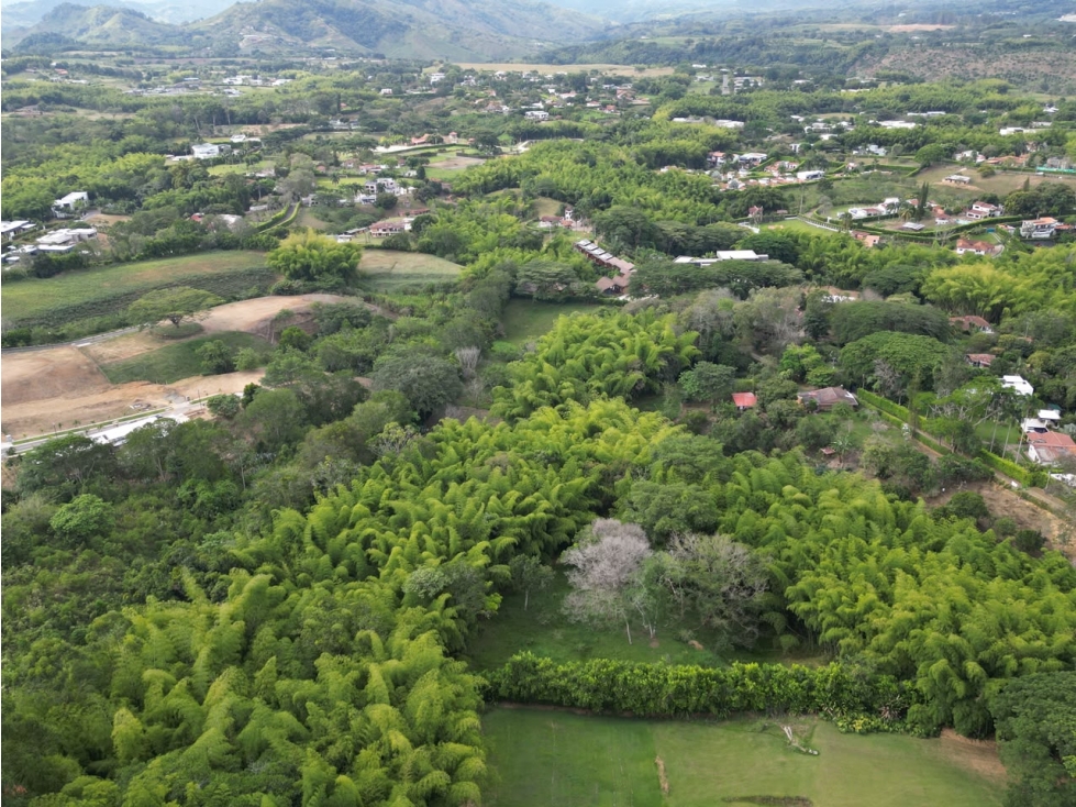 Lote en Venta en Pereira - Cerritos