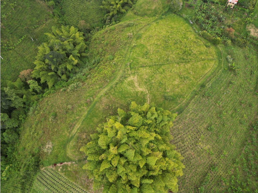 Lote en Venta en Alcalá - Valle del Cauca - 5