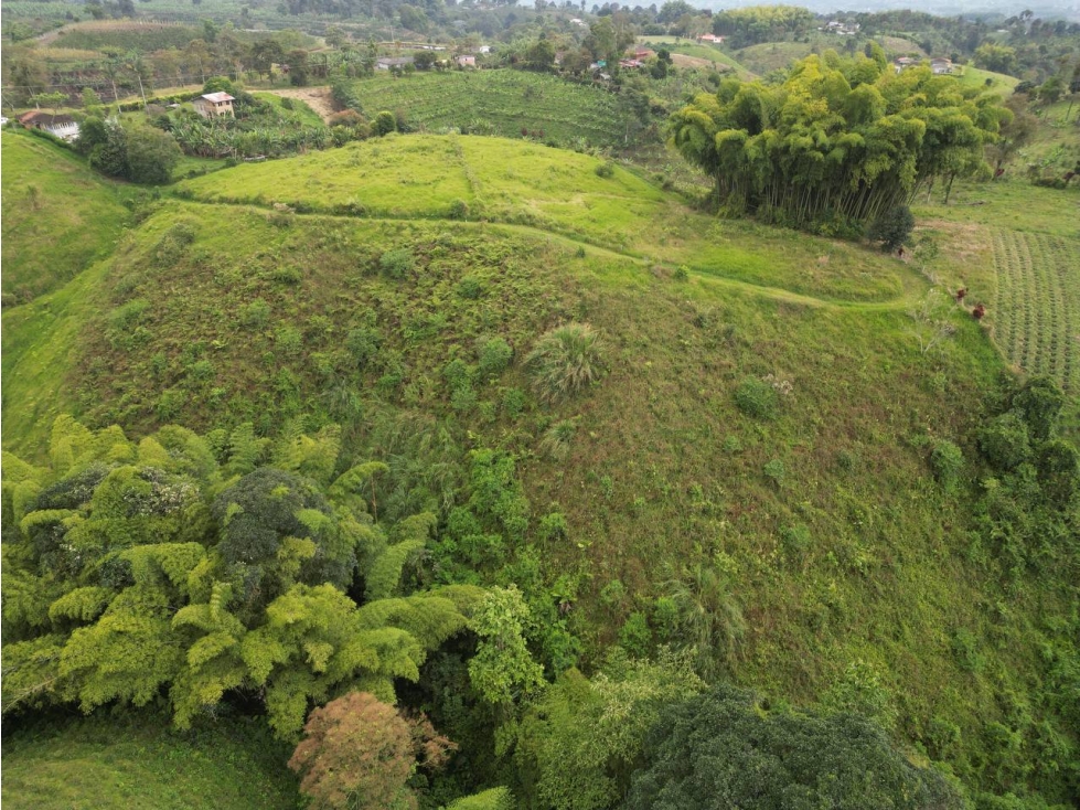 Lote en Venta en Alcalá - Valle del Cauca - 6