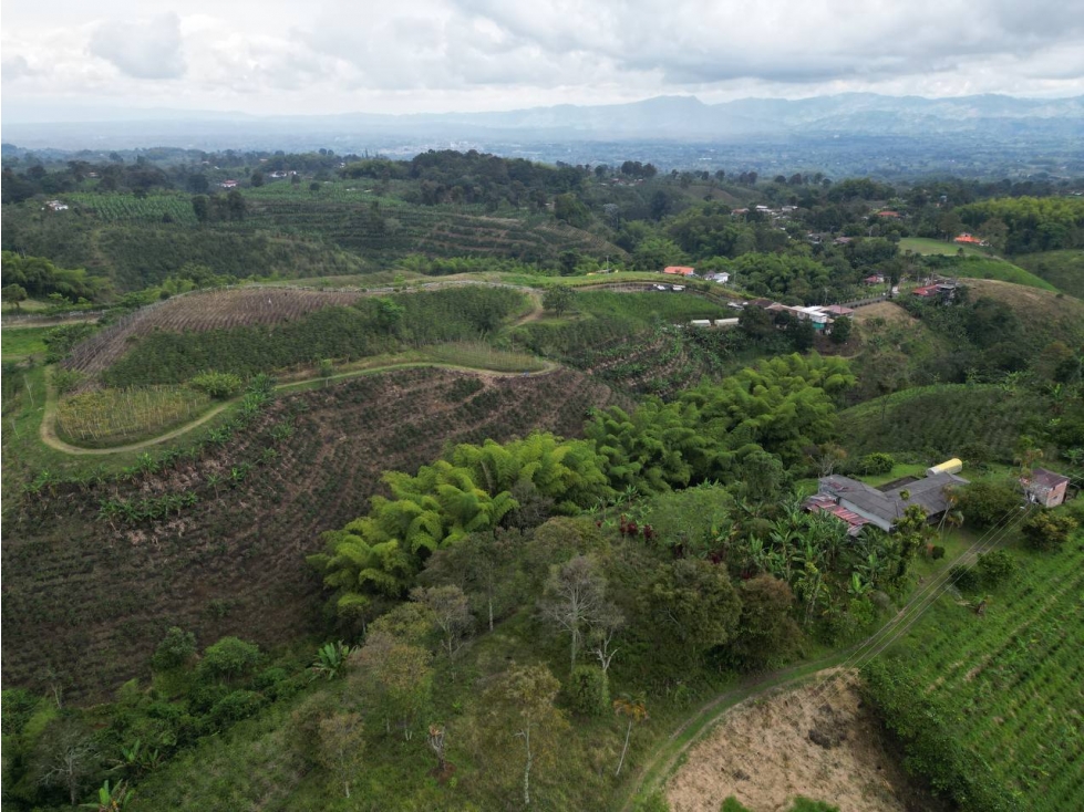Lote en Venta en Alcalá - Valle del Cauca - 6