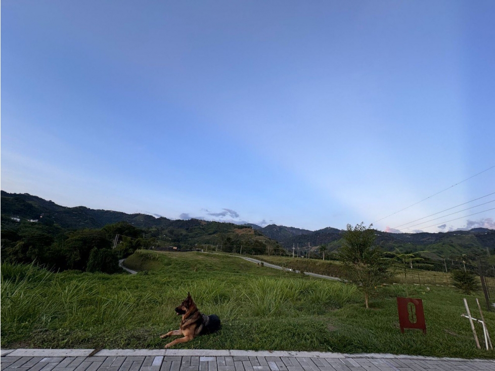 Lote en Venta en Manizales - El Rosario — foto 2