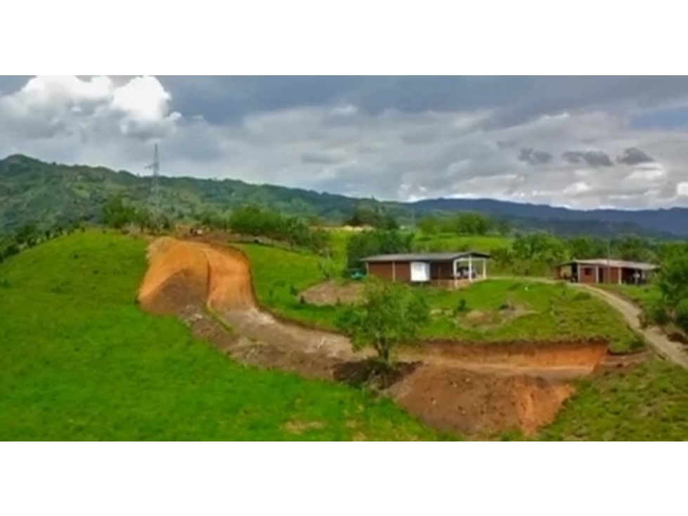 Lotes en Venta en Viterbo - Caldas - 2