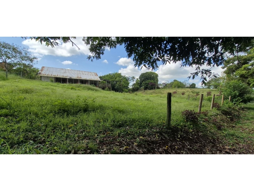 Lote en Venta en Pereira - Cerritos