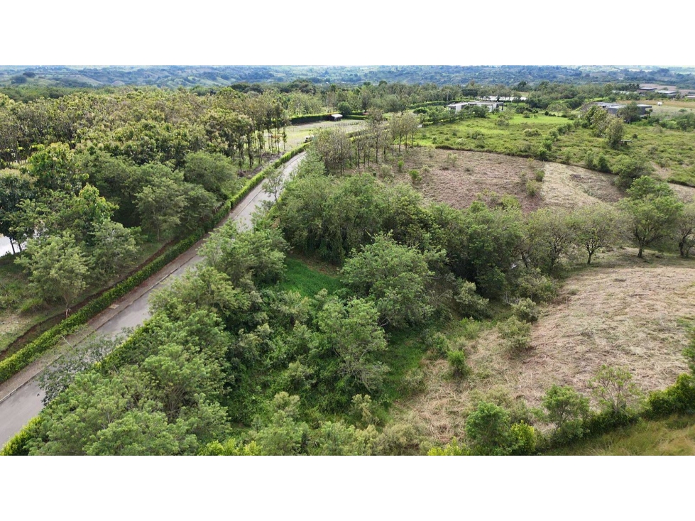 Lote en Venta en Pereira - Cerritos