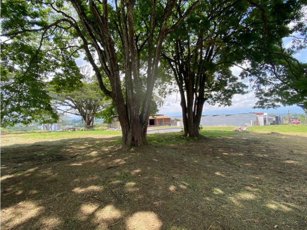 Lote en Venta en Pereira - Av. 30 de Agosto — foto 3