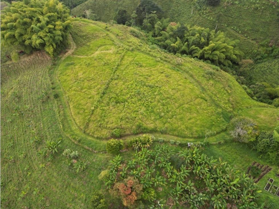Lote en Venta en Alcalá - Valle del Cauca - 1