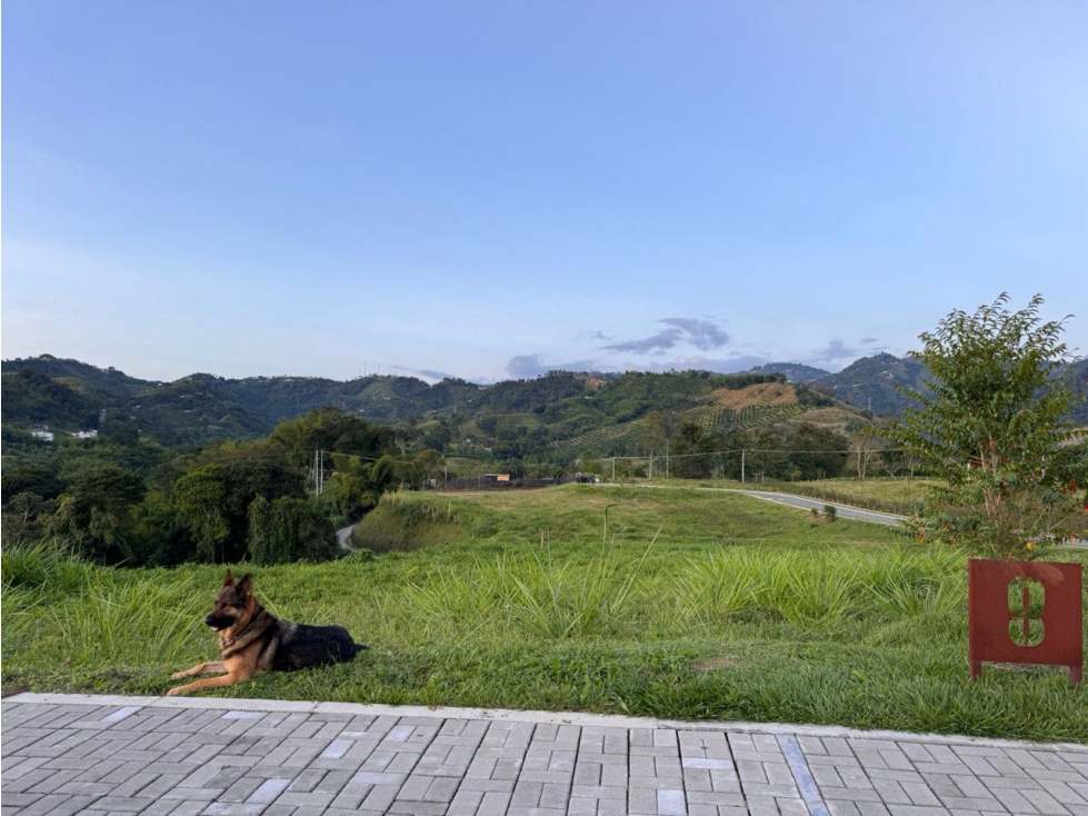 Lote en Venta en Manizales - El Rosario — foto 3
