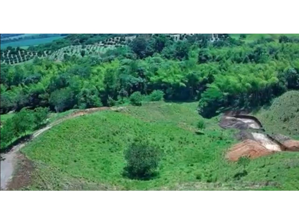 Lotes en Venta en Viterbo - Caldas - 3