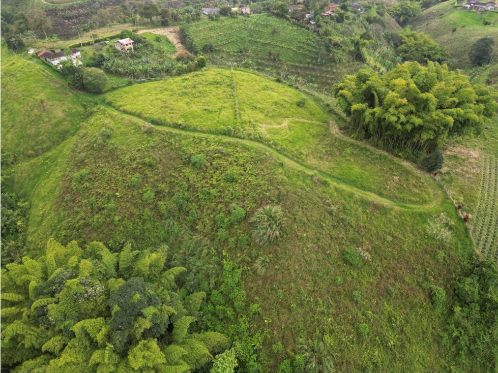 Lote en Venta en Alcalá - Valle del Cauca - 2