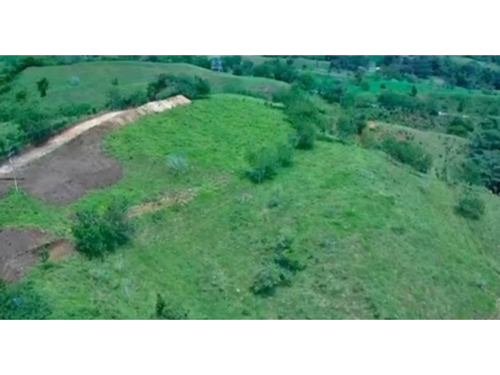 Lotes en Venta en Viterbo - Caldas - 4