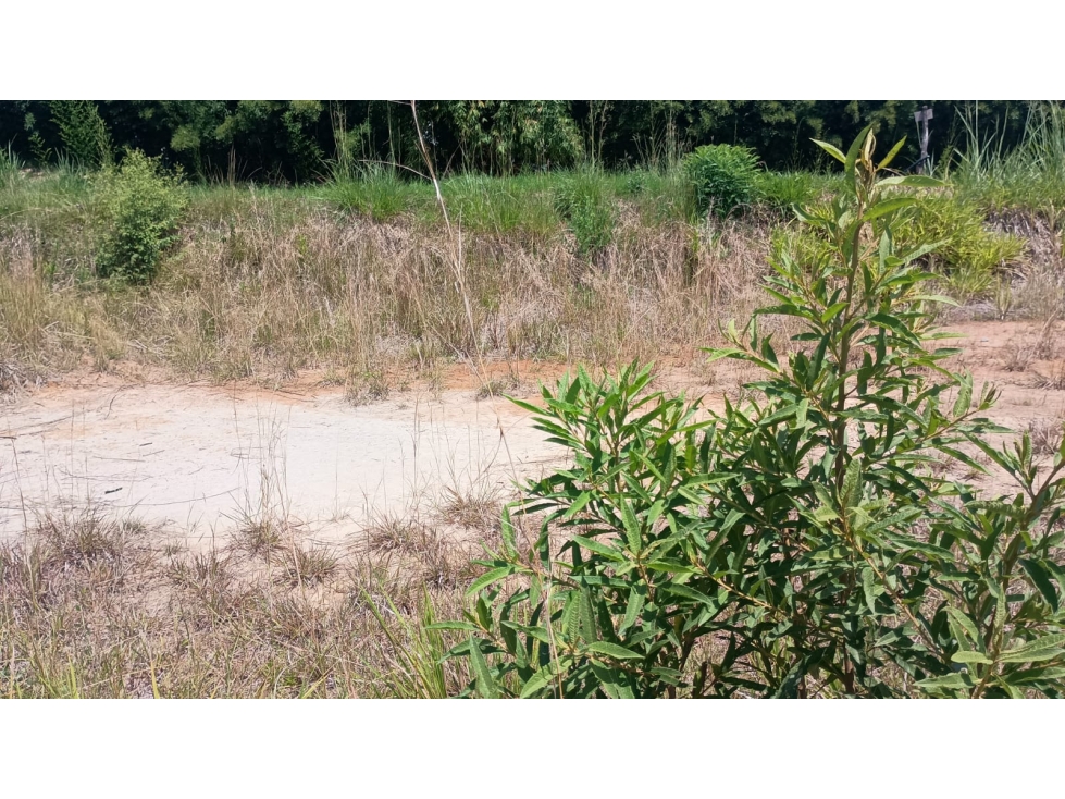 Lote en Venta en Pereira - Cerritos
