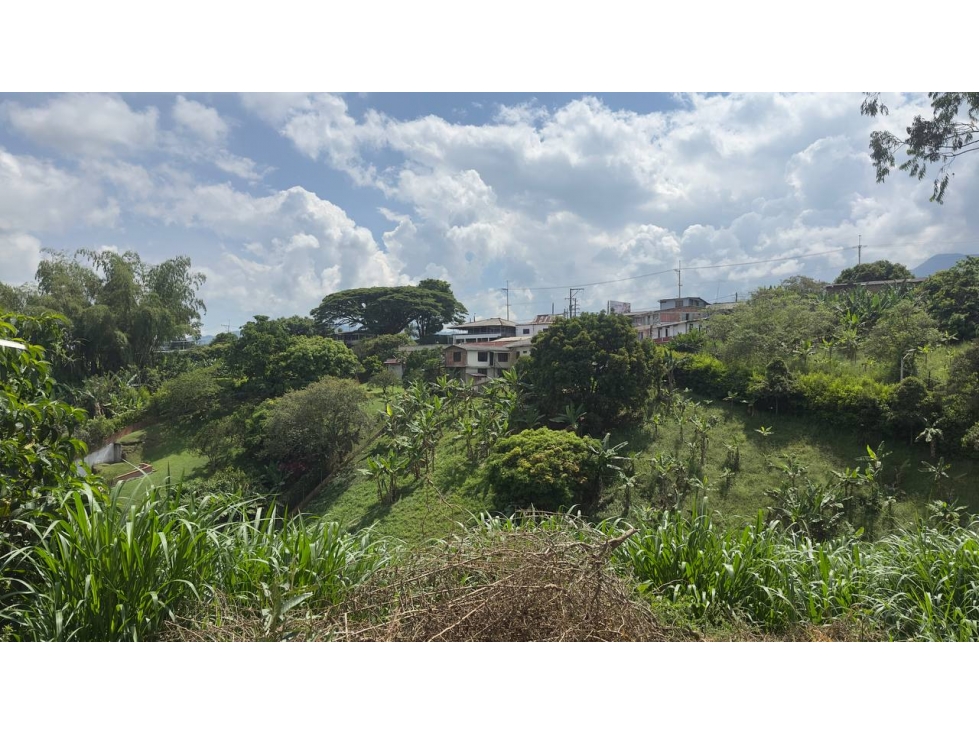 Finca en Venta en Pereira - Combia — foto 6