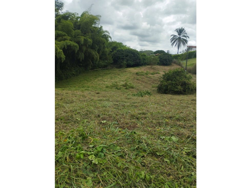 Lote en Venta en Pereira - Cerritos