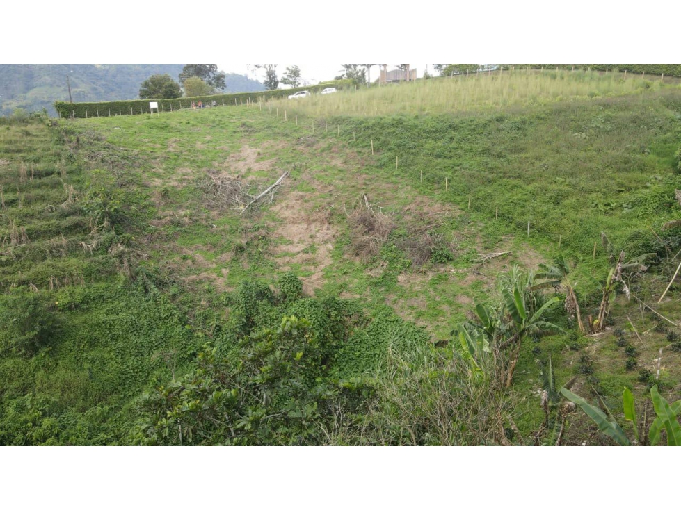 Lote en Venta en Santa Rosa de Cabal - 3