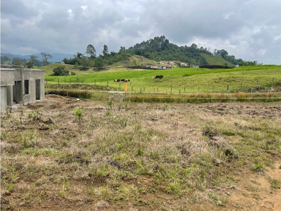 Lote en Venta en Santa Rosa de Cabal - Vía Termales - 5