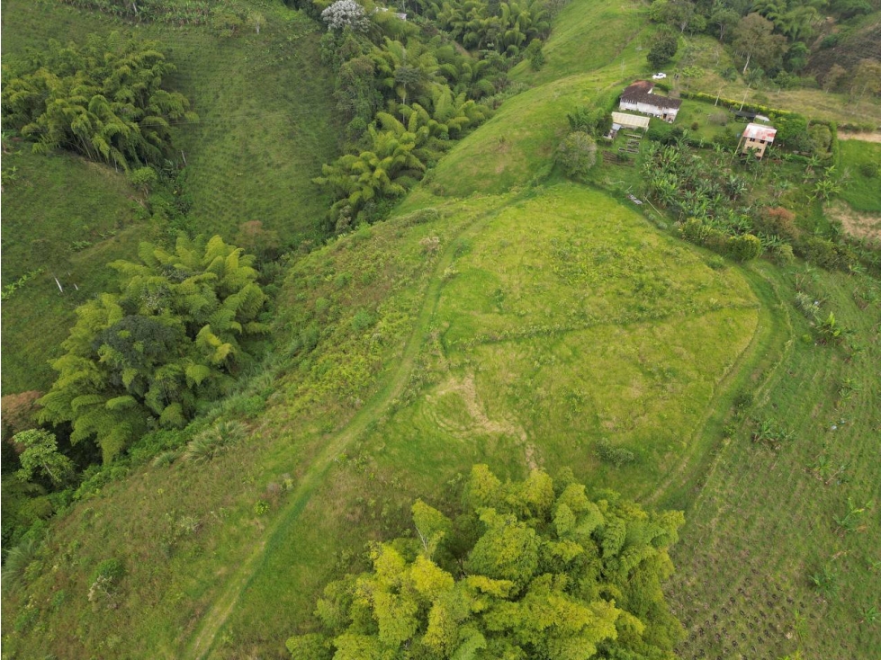 Lote en Venta en Alcalá - Valle del Cauca - 4