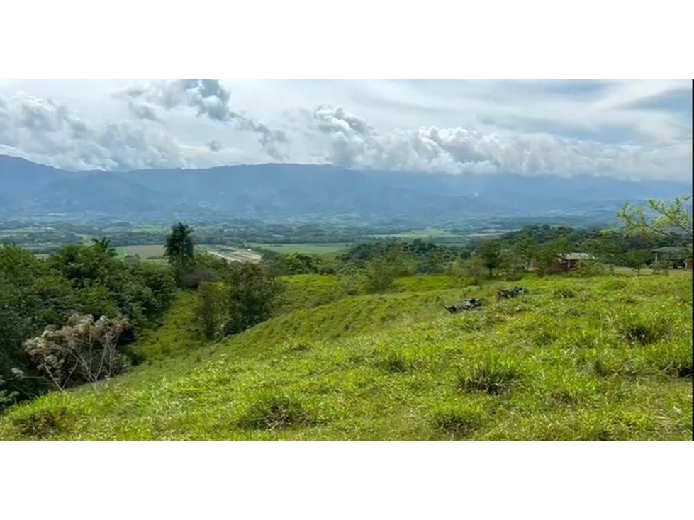 Lotes en Venta en Viterbo - Caldas - 5