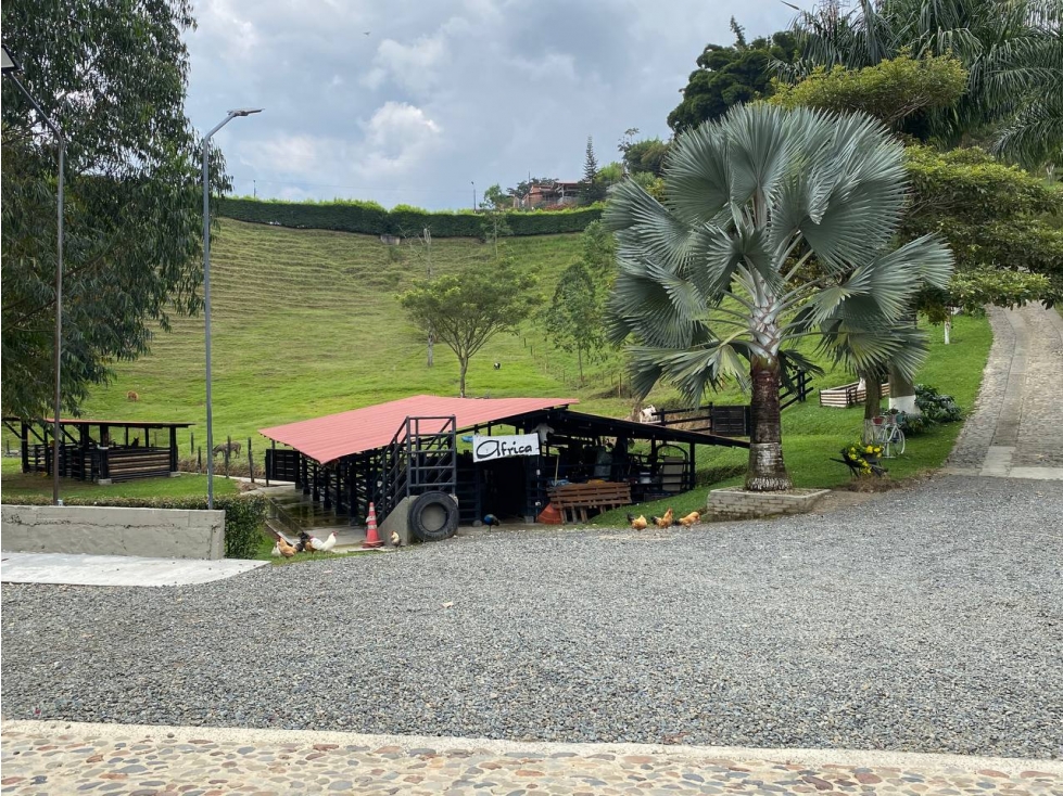 Finca en Renta en Pereira - Canceles - 4