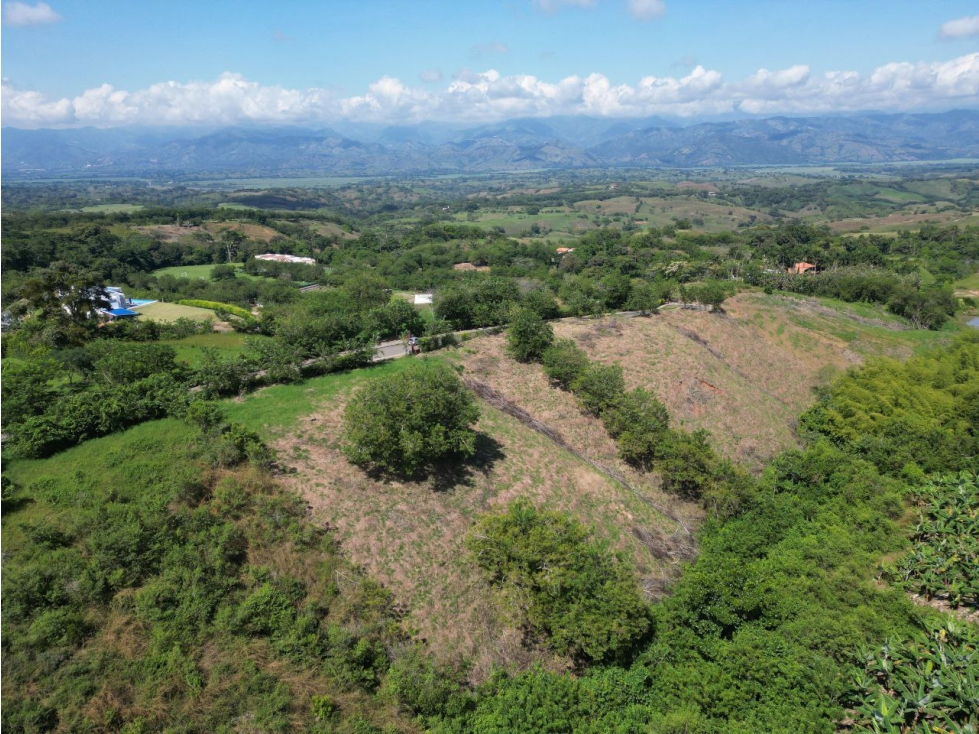 Lote en Venta en Pereira - Vía Cerritos - La Virginia