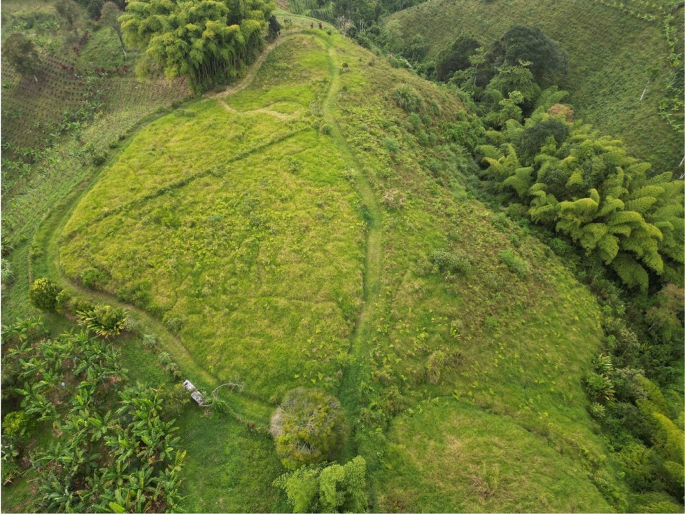Lote en Venta en Alcalá - Valle del Cauca - 5
