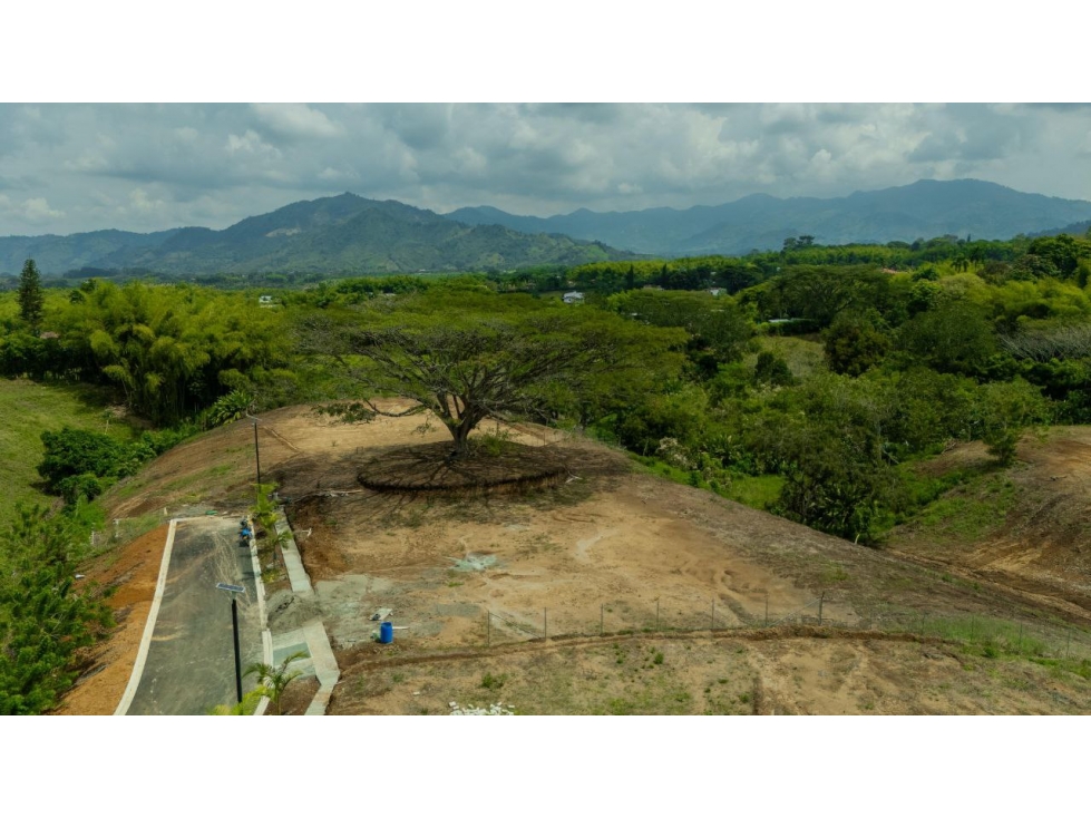 Lote en Venta en Pereira - Cerritos