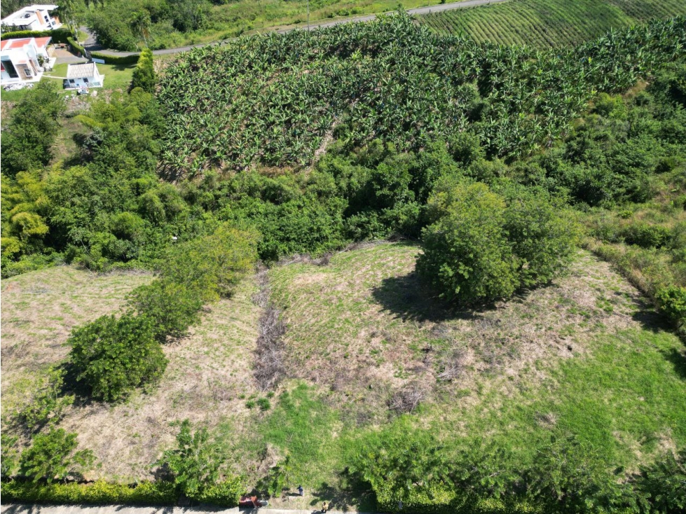 Lote en Venta en Pereira - Vía Cerritos - La Virginia — foto 3