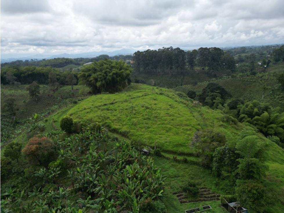 Lote en Venta en Alcalá - Valle del Cauca - 1