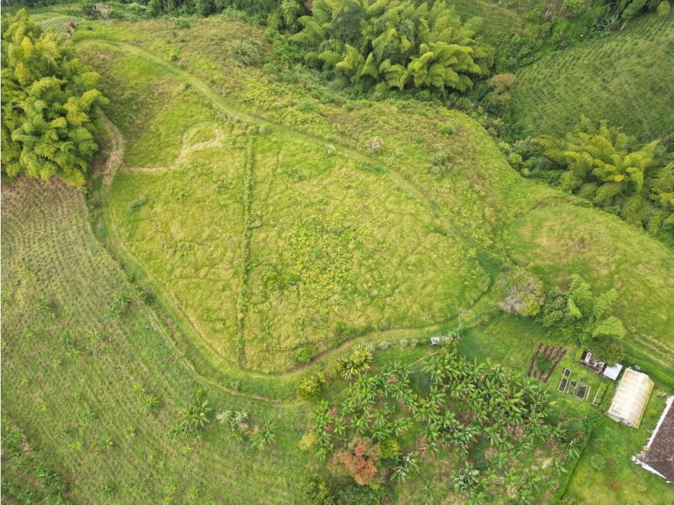 Lote en Venta en Alcalá - Valle del Cauca - 2