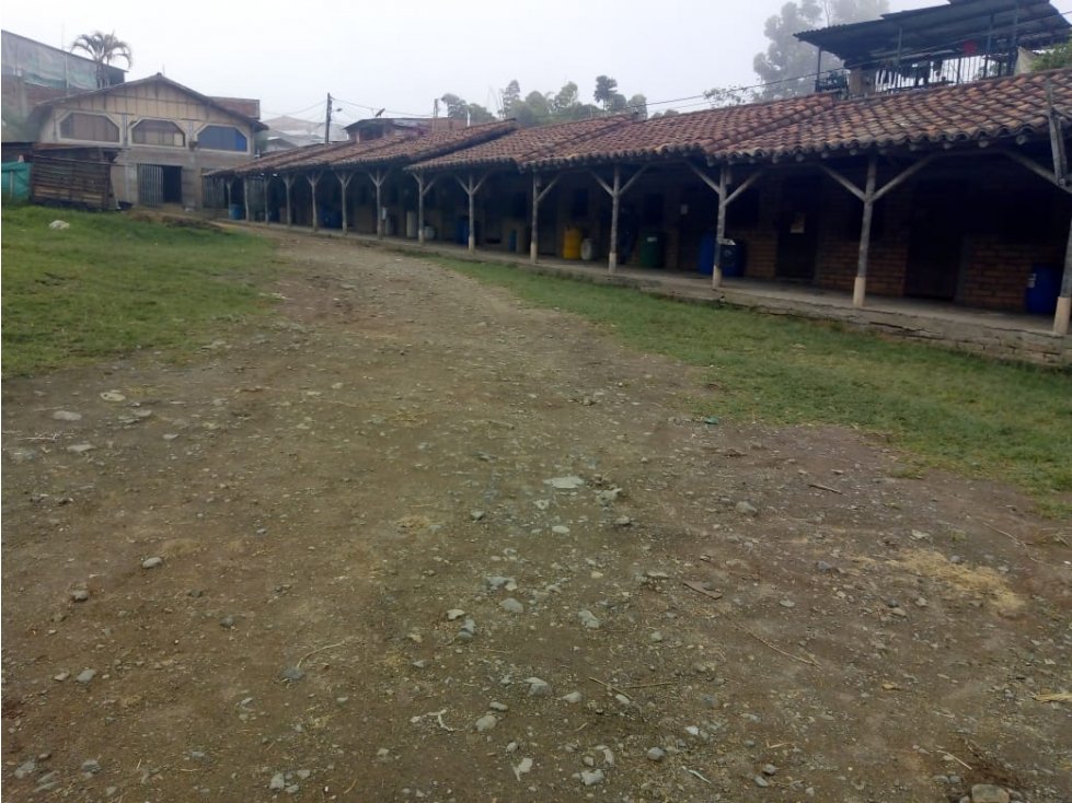 LOTE CON RENTA EN VENTA EN ALTO TABLAZO MANIZALES — foto 2