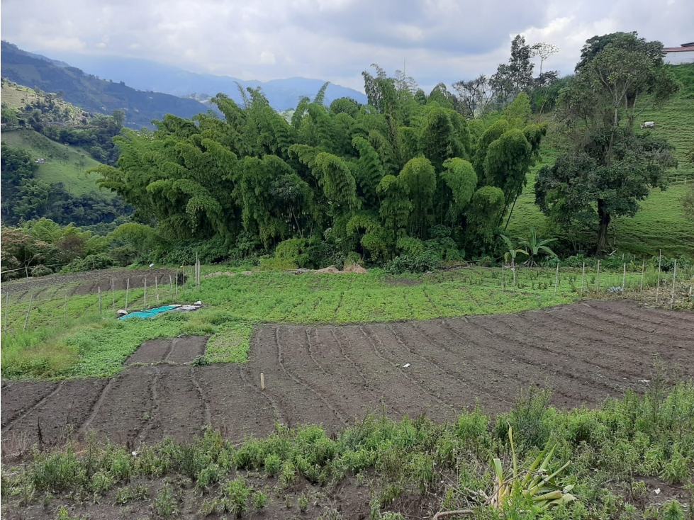 LOTE EN VENTA EN LA SIRIA MANIZALES | VENTA DE LOTES — foto 4