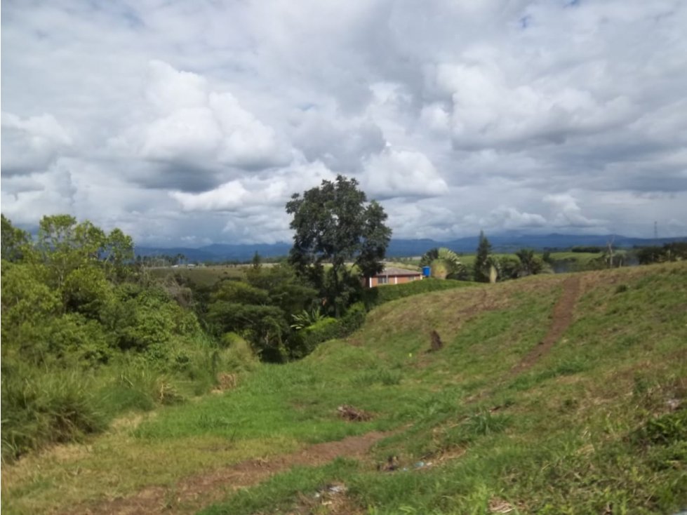 VENTA LOTE LAS MARGARITAS RISARALDA | LOTE EN VENTA - 2