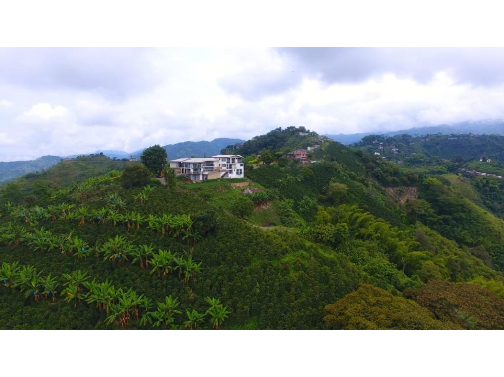 VENTA LOTE SAN PEREGRINO MANIZALES 21.500m² | LOTE PRODUCTIVO EN VENTA