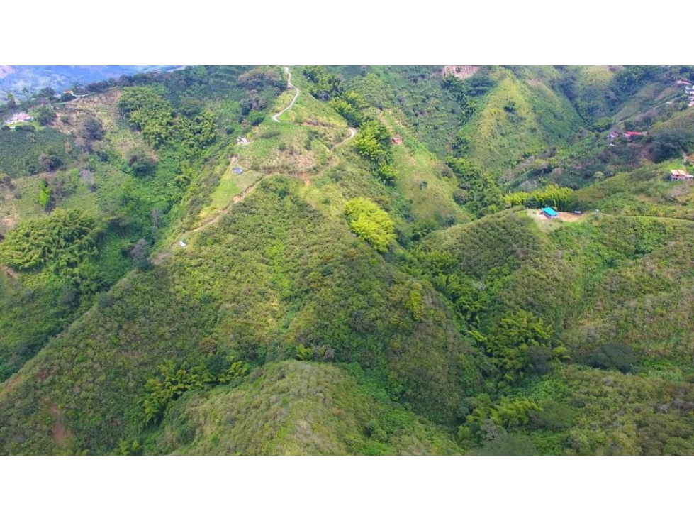 VENTA LOTE 77.298m² EL TAMBOR SAN PEREGRINO MANIZALES | LOTE RURAL