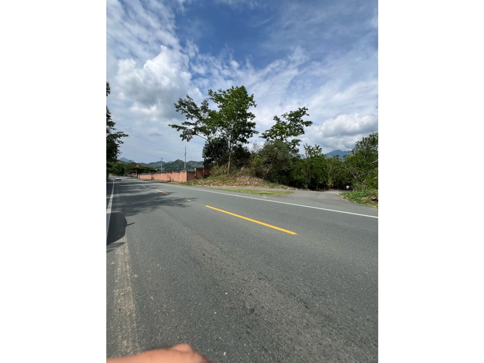VENTA LOTE KM 41 PALESTINA | LOTE BARATO EN VENTA - 2