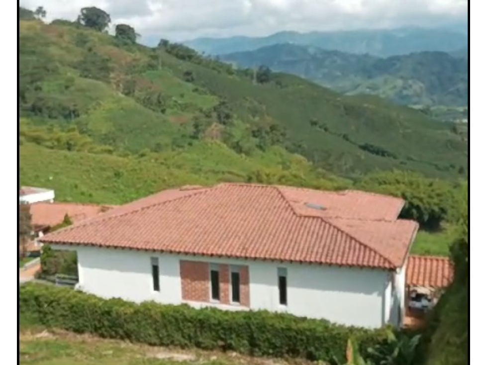 VENTA LOTE CHINCHINÁ A 8 MINUTOS | LOTE CHINCHINÁ - 2