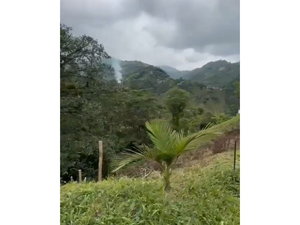LOTE EN VENTA EN VEREDA ALTO MINITAS MANIZALES | VENTA LOTE — foto 4