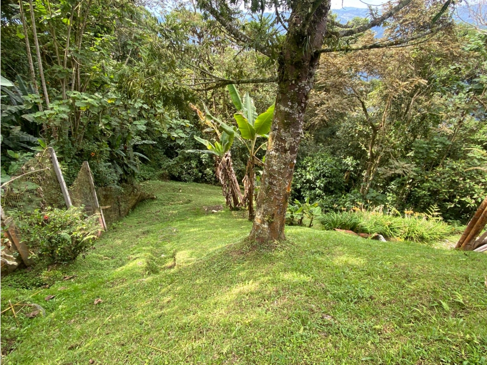 VENTA LOCAL COMERCIAL CAMPESTRE EN LA CUCHILLA DEL SALADO, MANIZALES — foto 2